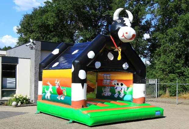 Koetje_1-620x425
