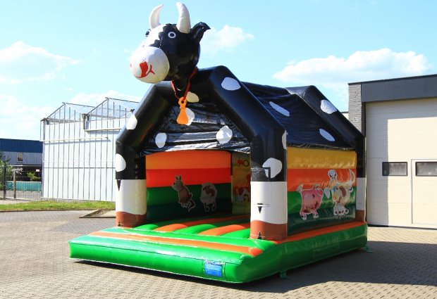 Koetje_3-620x425